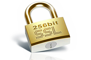 256 Bit SSL güvenlik sertifikası ile ödemelerinizi güvenle ve emniyetle yapın